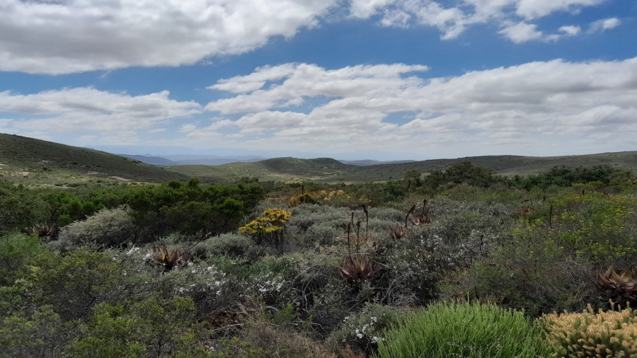 0 Bedroom Property for Sale in Robertson Rural Western Cape